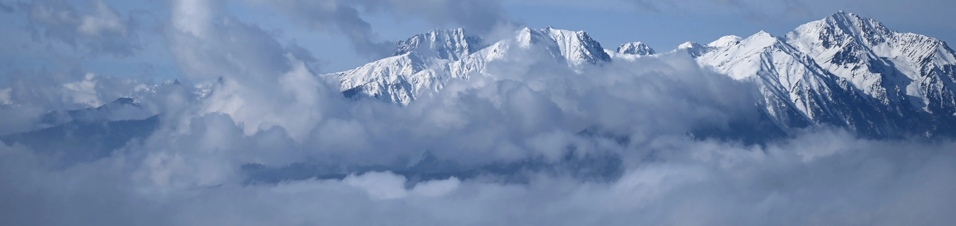 OEM高速工业网络交换机供应商